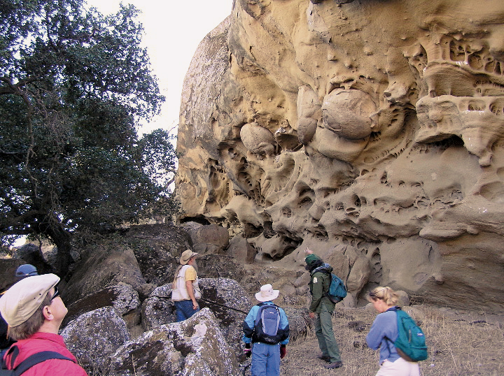 Bushy Peak