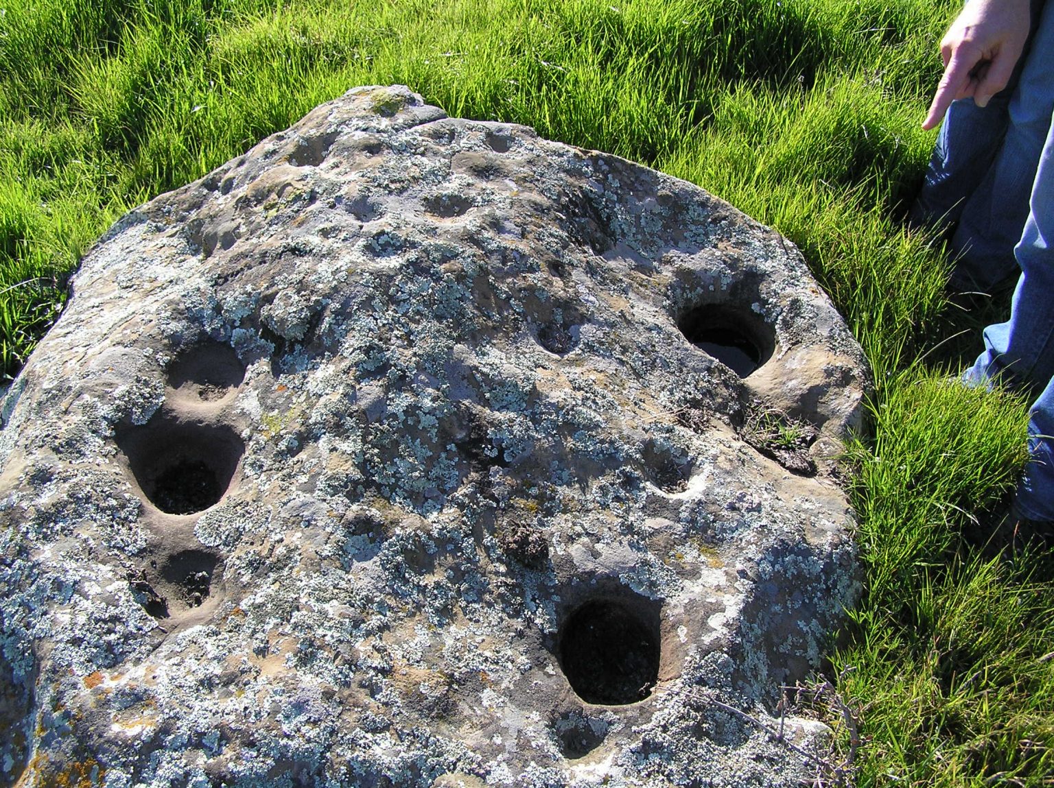 The Art Of Cupules East Bay Hill People