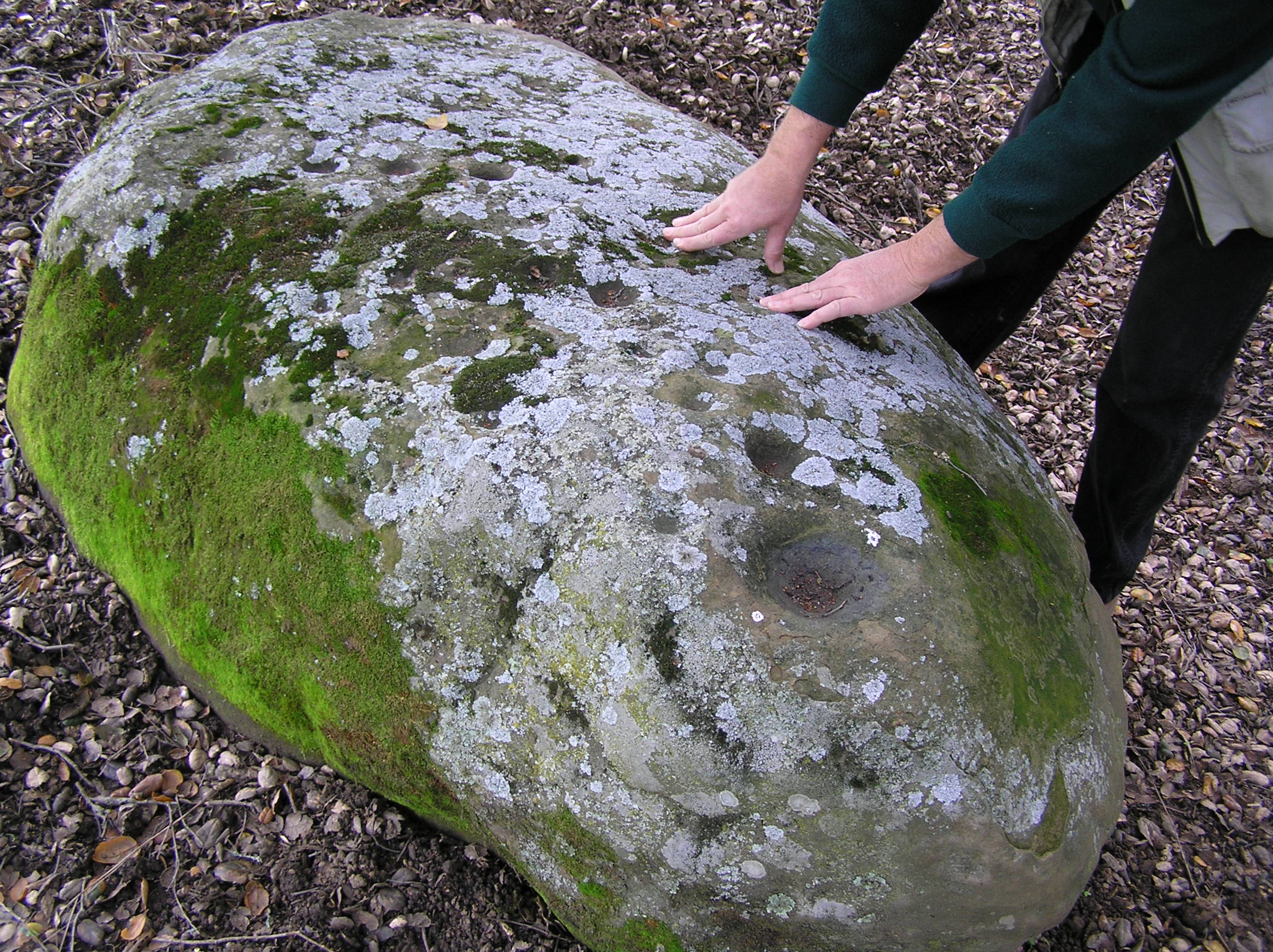 The Art Of Cupules East Bay Hill People