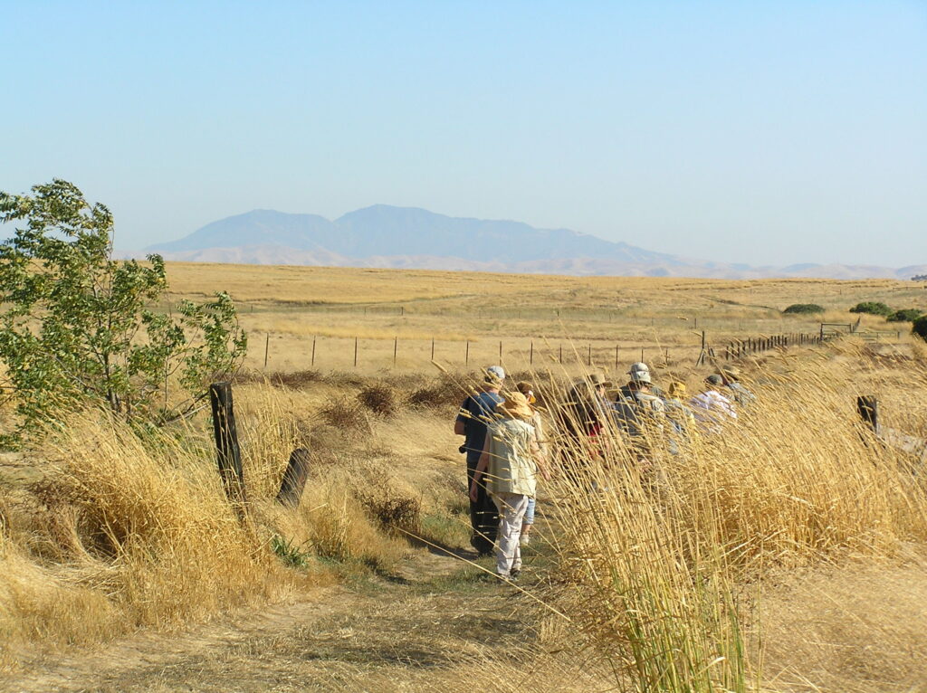 Rush Ranch Suisun City East Bay Hill People